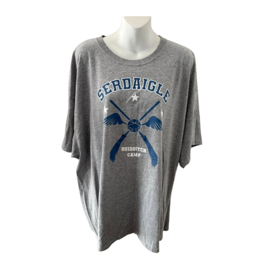 T-shirt Chlowé – Harry Potter Serdaigle – Taille unique