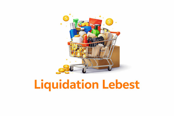 Liquidation Lebest